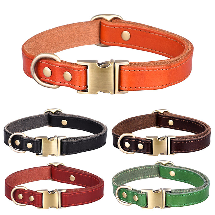 Premium Leather Dog Collar in Orange
