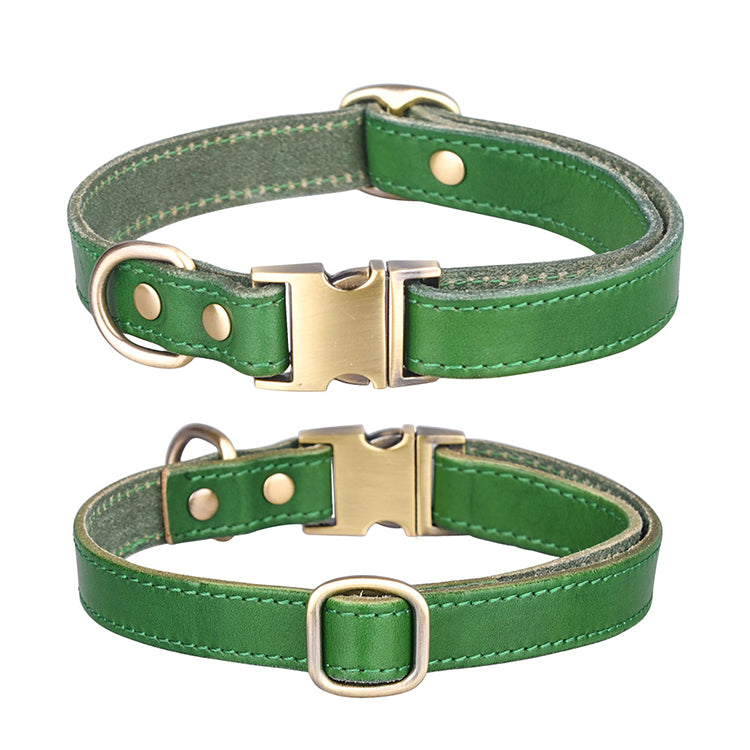 Premium Leather Dog Collar in Green