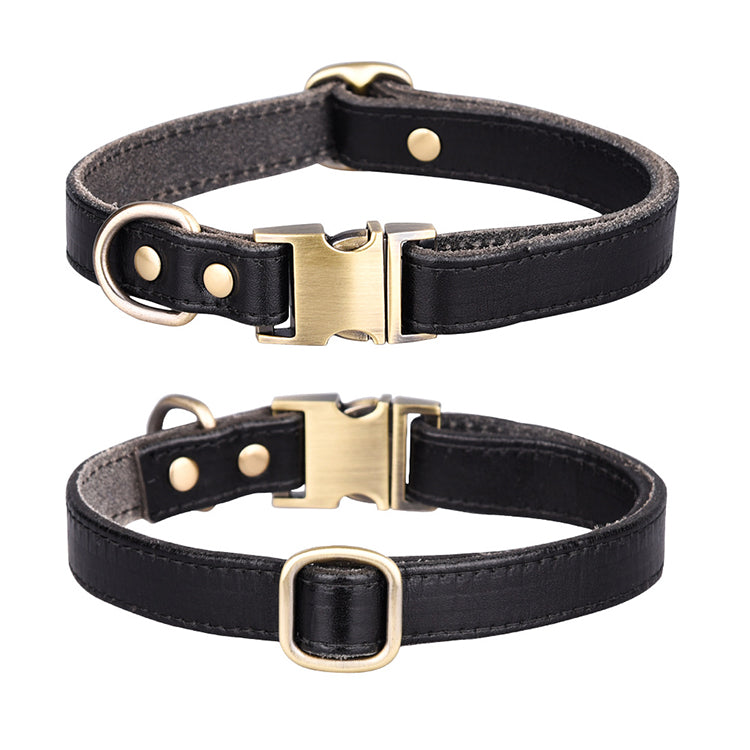 Premium Leather Dog Collar in Black