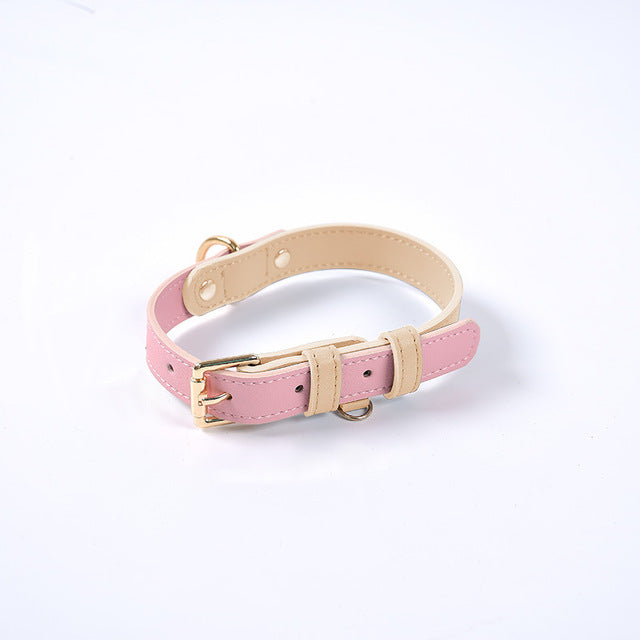 Cute leather 2024 dog collars